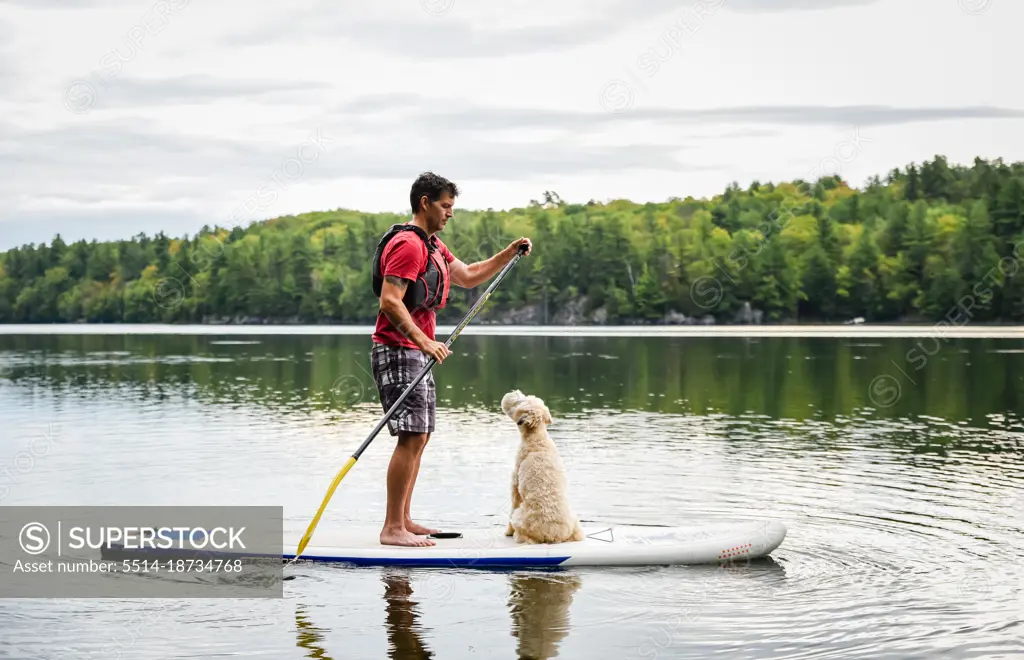 Man paddling a stand up paddleboard SUP with his dog on a lake.