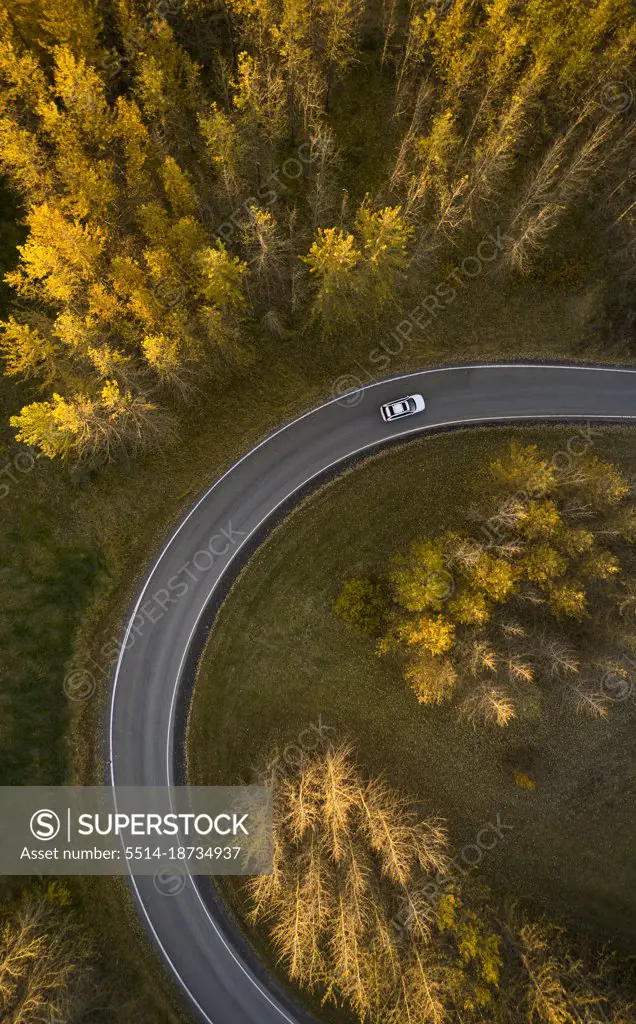 Car driving on roadway between autumn forest