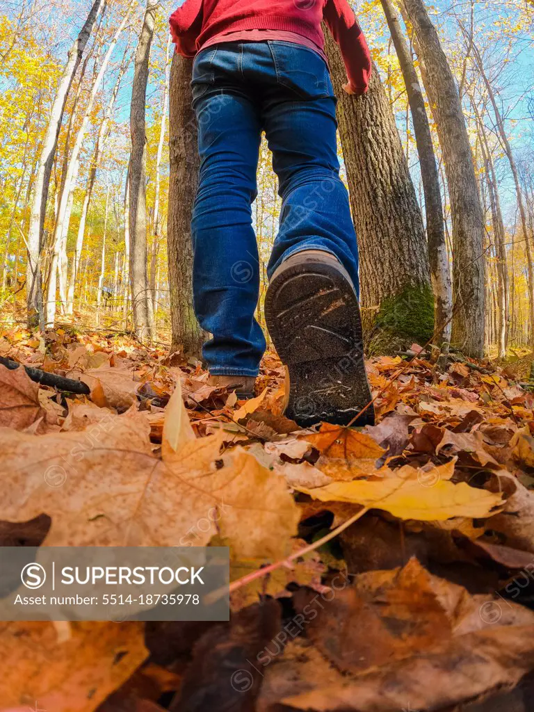 Cropped close up of a man's legs on a leafy hiking trail.