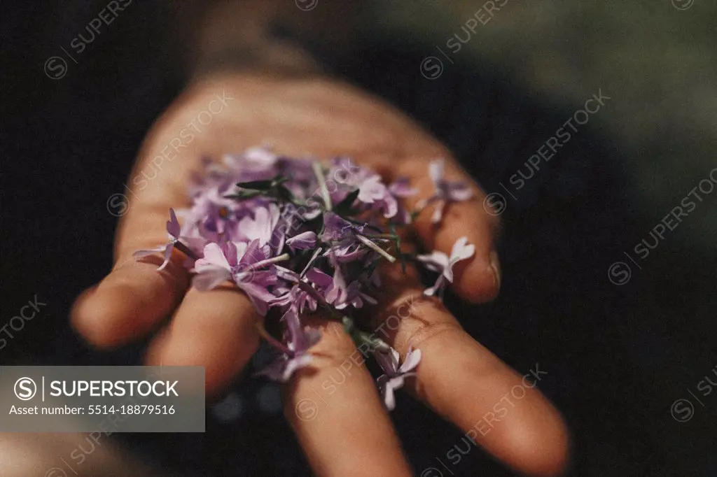 Young woman holding purple flowers in her hand