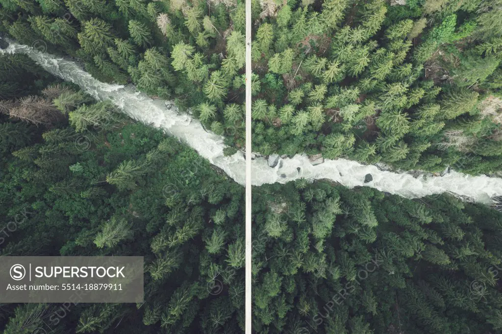 suspension bridge over forest from aerial view