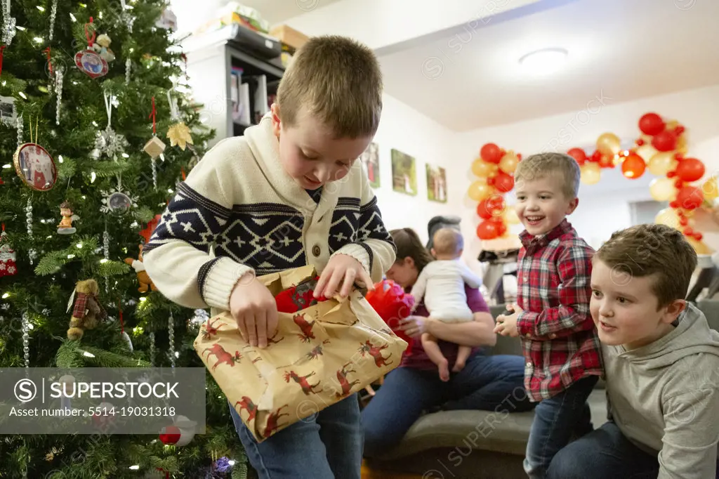 Boy Opens Christmas Present in Front of Tree While Brothers Look On