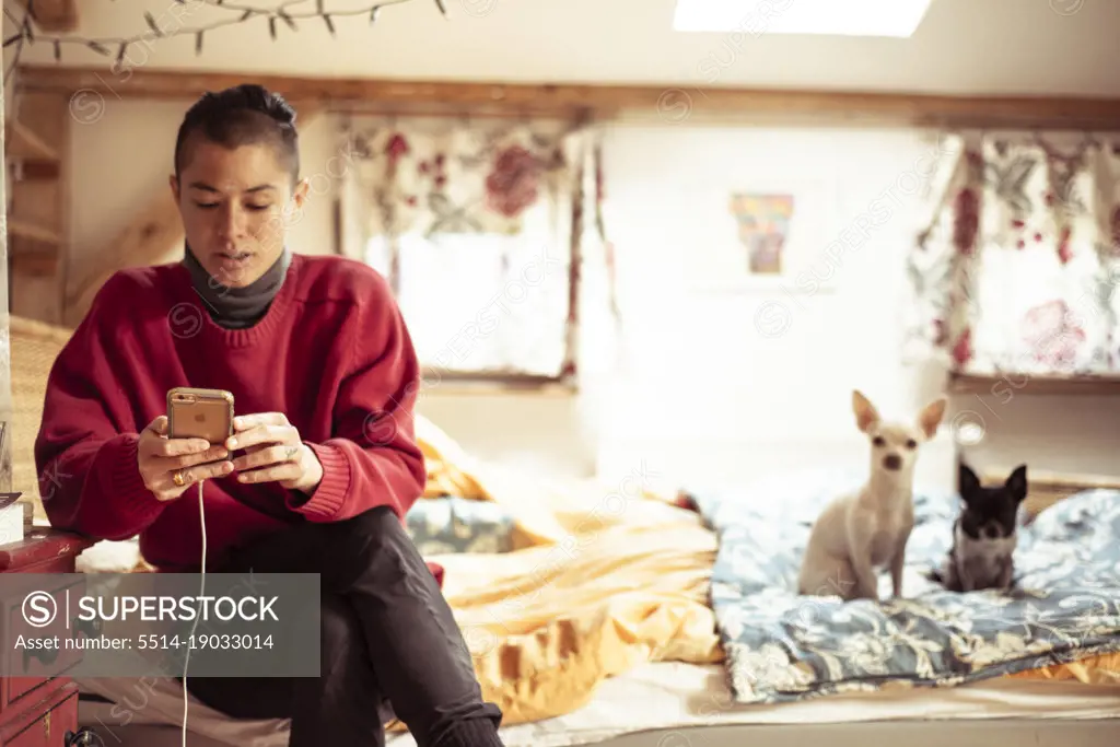 Alternative androgynous person on mobile device in room with two dogs