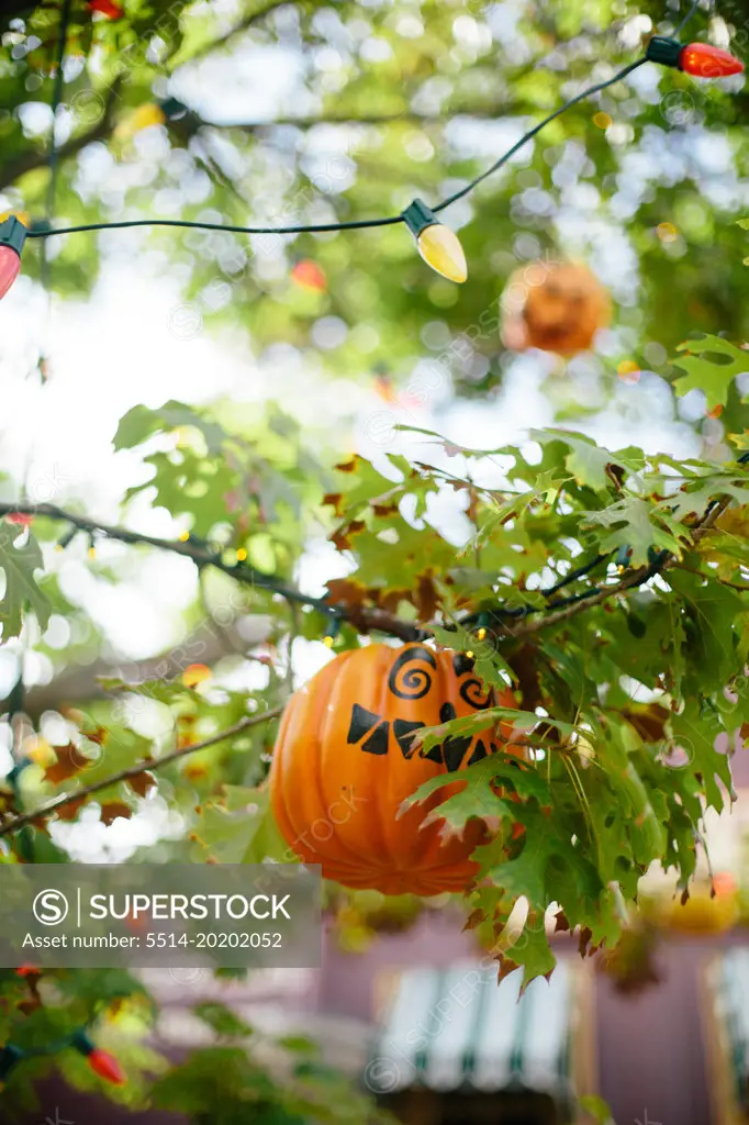 Pumpkin halloween decoration in tree in Anaheim Calfornia