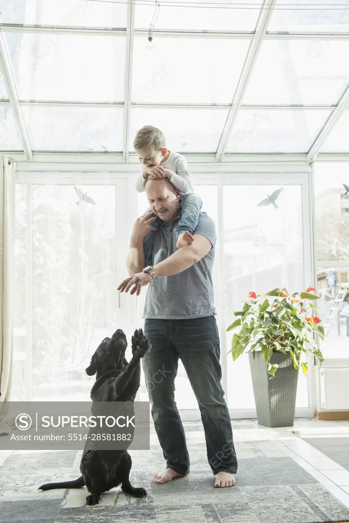 Father playing with dog while carryinng son on his shoulder