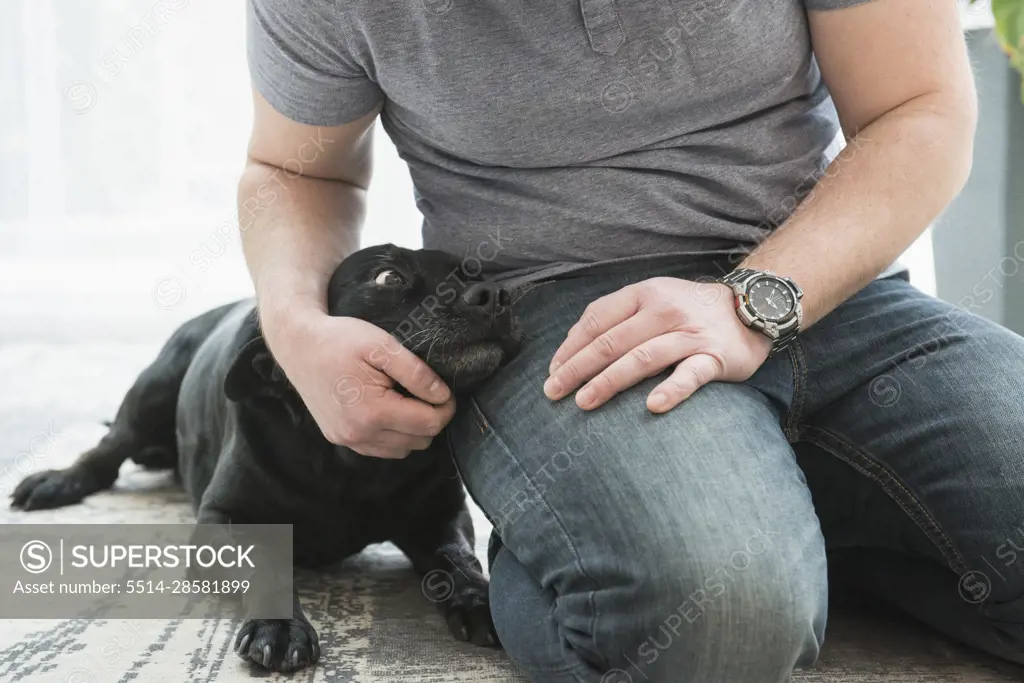 Close-up of man's hand stroking dog