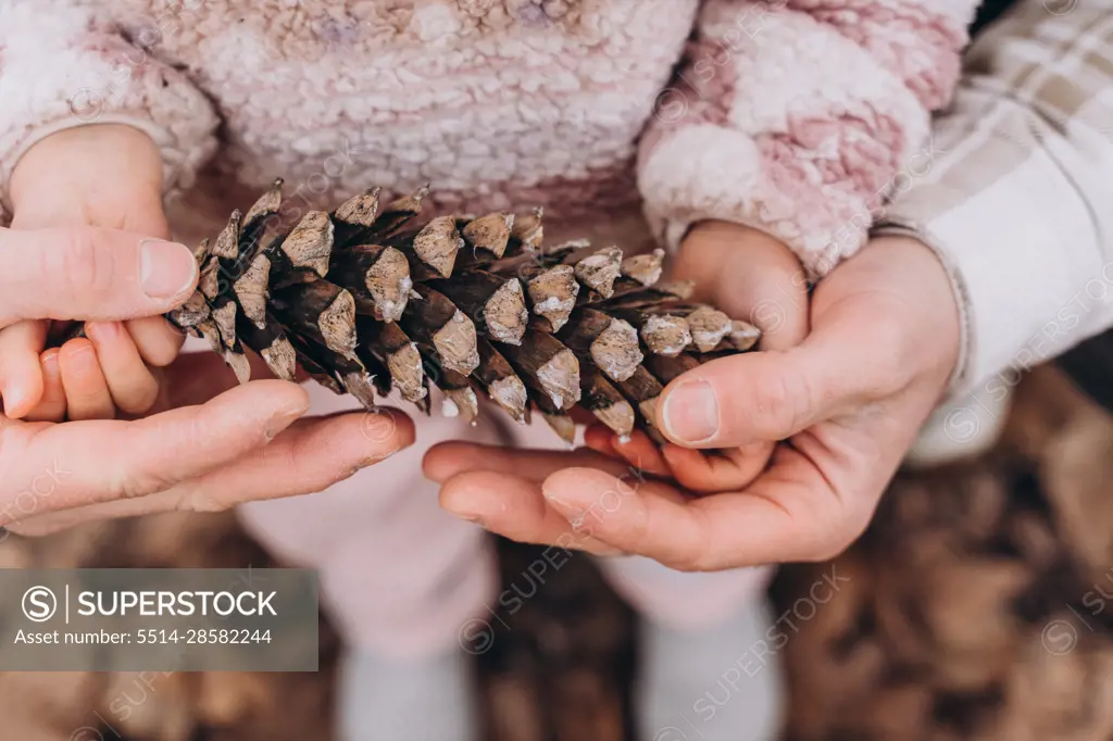 Dad and baby daughter holding a pine cone