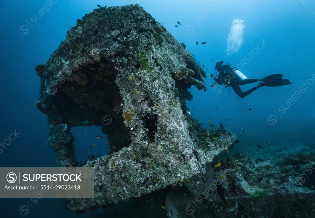 diver exploring ship wreck in the Maldives