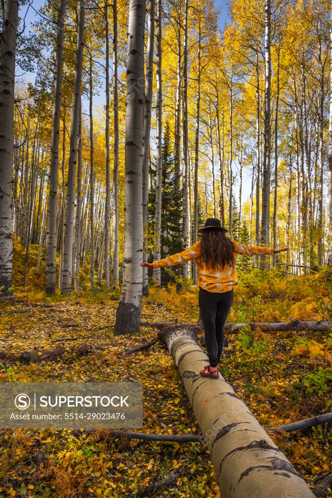 Woman Balancing on Fallen Aspen in Autumn near Crested Butte, Colorado