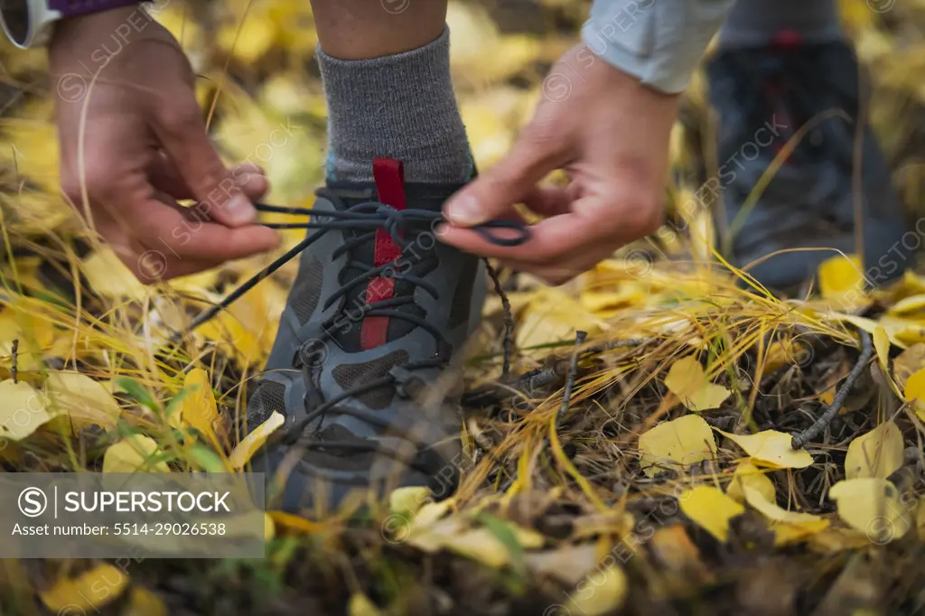 Low section of woman tying shoelace in forest during autumn