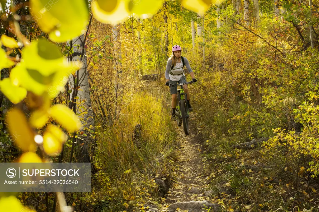 Young woman mountain biking amidst trees in forest during autumn