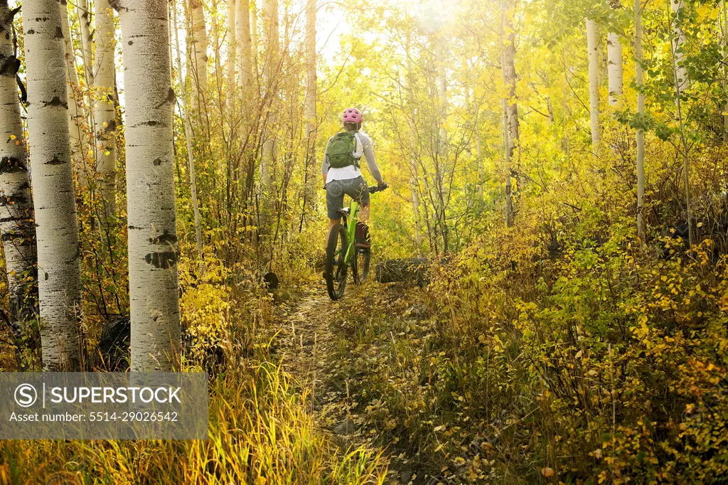 Rear view of woman mountain biking amidst trees in forest during autumn