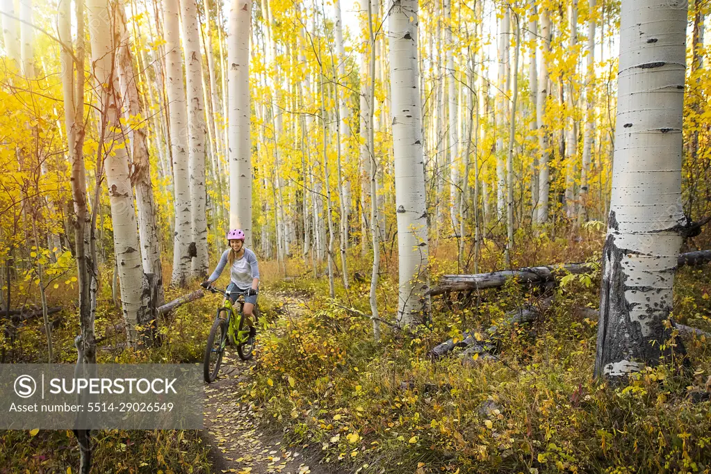 Woman mountain biking amidst autumn trees in forest