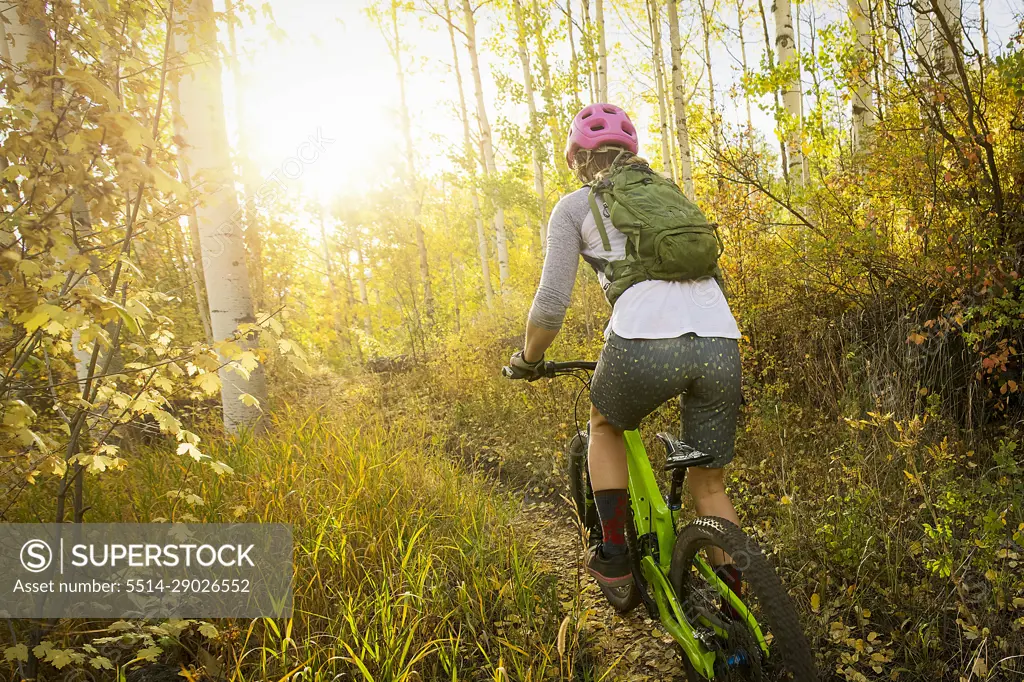 Rear view of woman mountain biking in forest during autumn