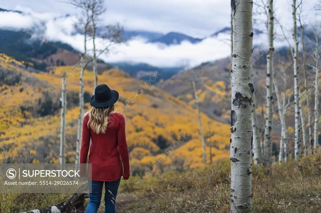 Rear view of woman in forest during autumn