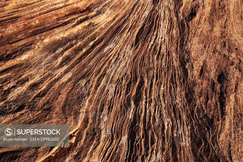 Grand Canyon's Horse Shoe Bend