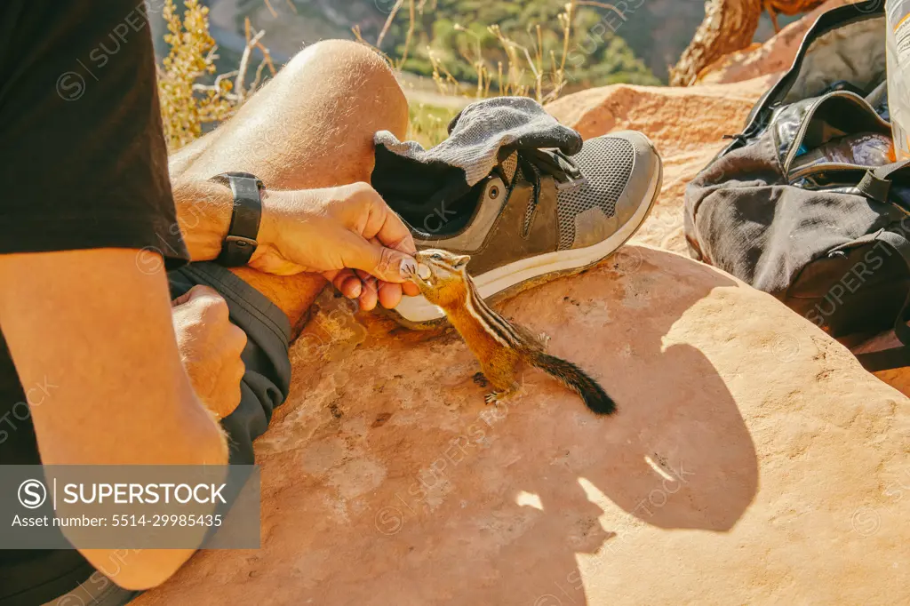 Young man feeding a chipmunk a cashew in Zion National Park, Utah