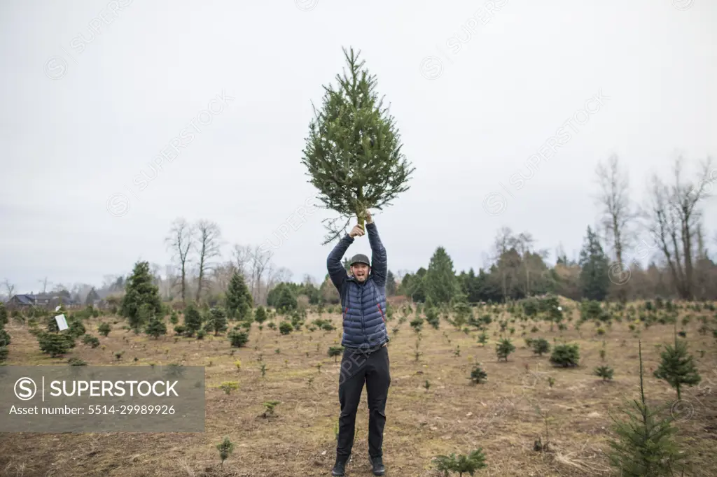 Man hold Christmas Tree above head at tree farm