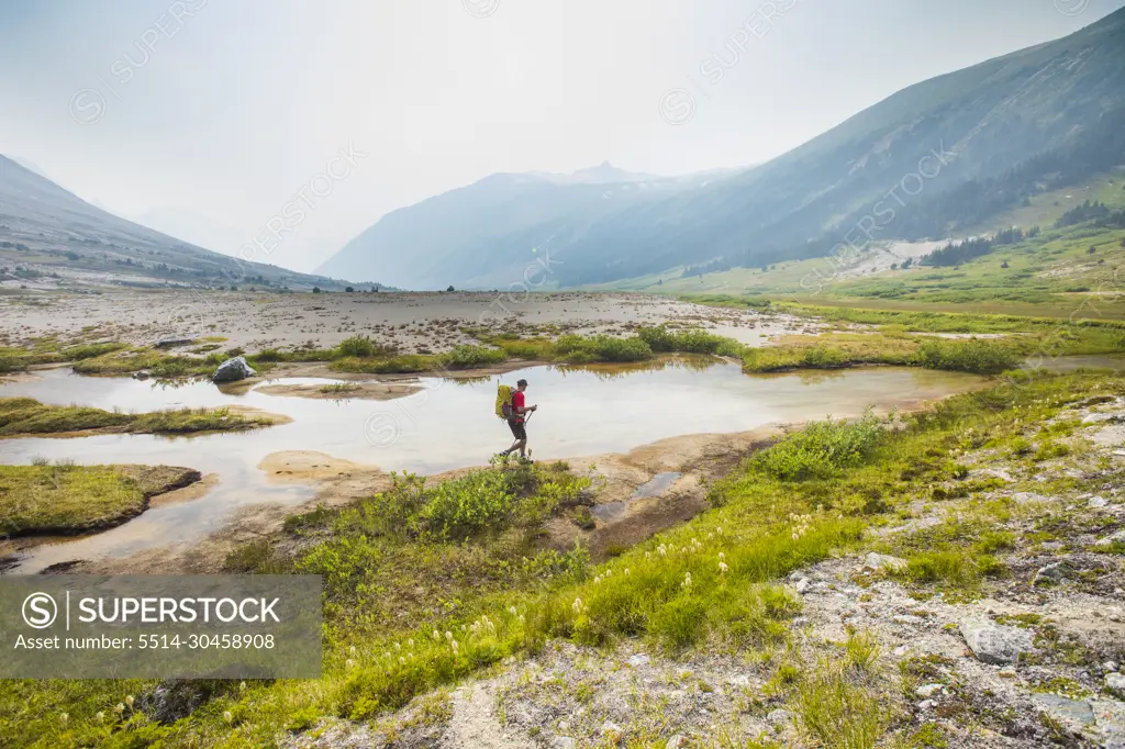 Side view of hiker backpacking in lush valley