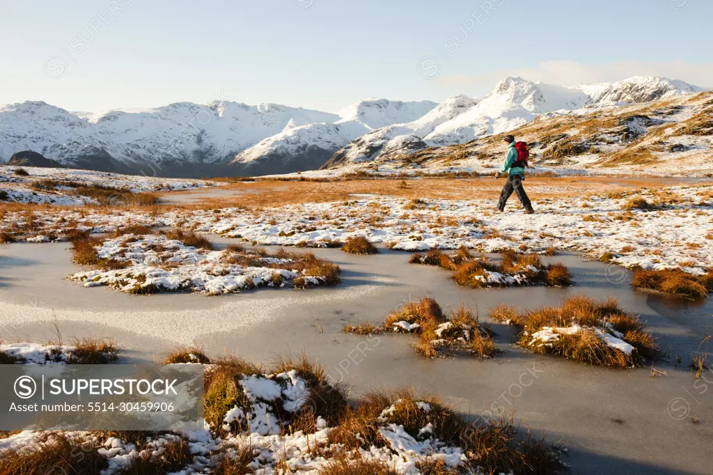 A woman fell walker on Silver Howe, looking towards the Langdale Pikes in the Lake District, UK.