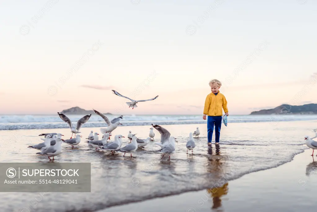 Smiling child with seagulls at beach in New Zealand