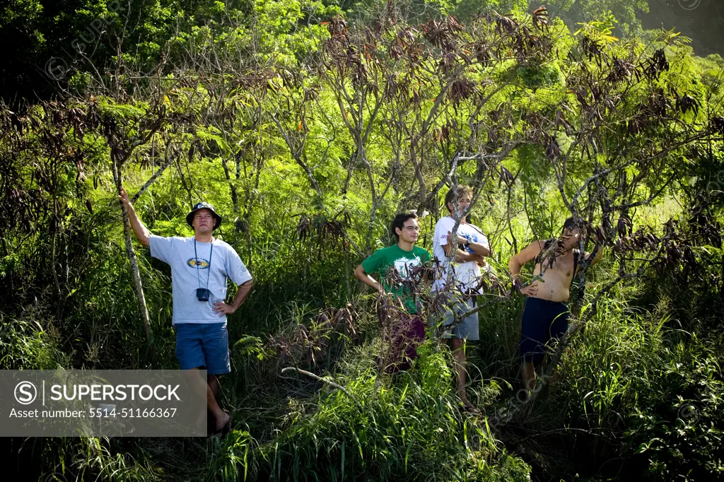 Spectators watch the surf at the 25th Eddie Aikau Big Wave Invitational. The biggest swell on the North Shore for 10 years brought 30-50 foot waves at Waimea Bay, Hawaii.