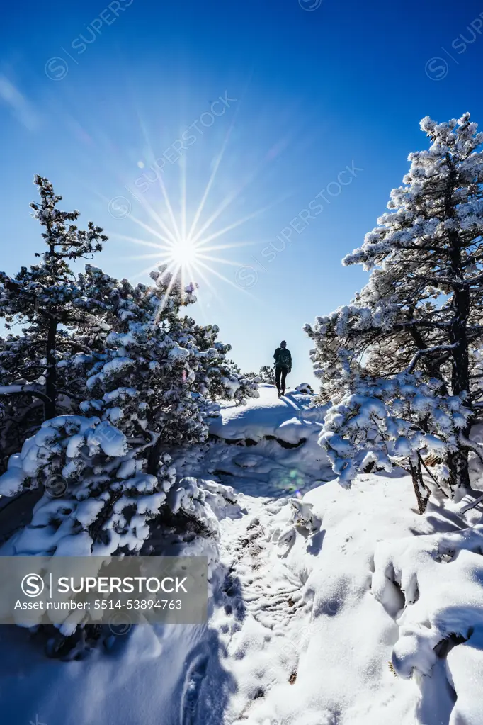 Woman hikes in Acadia National Park on beautiful snowy winter day.