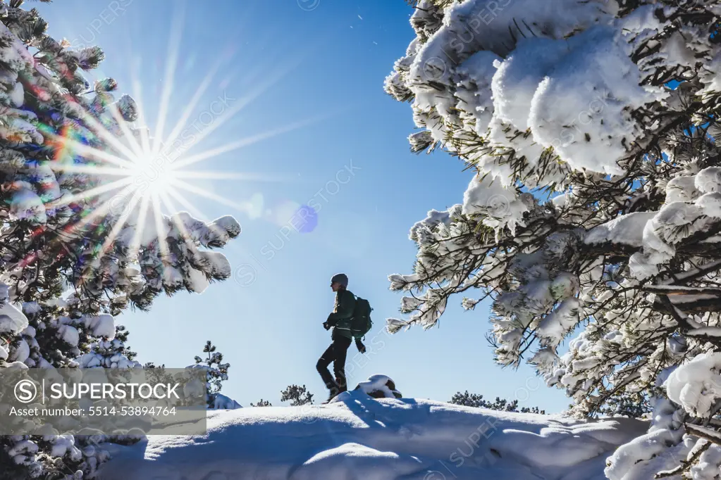 Woman hikes through winter wonderland at Acadia National Park