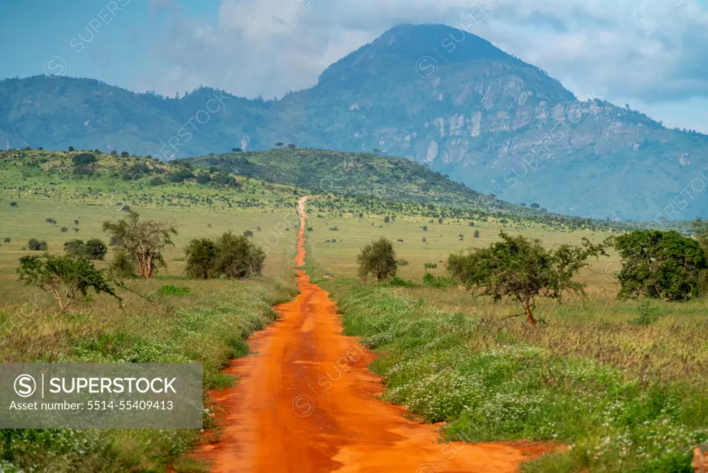 Red dirt road leading up a hill in Tsavo West in Kenya.