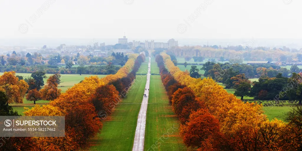 Windsor Great Park with Windsor Castle.