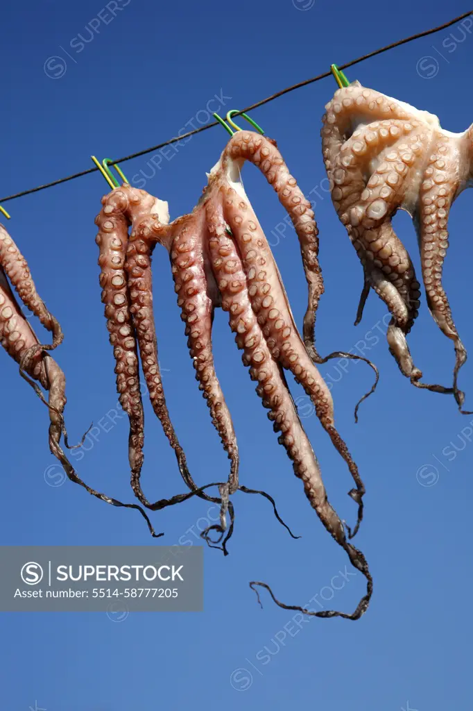 Octopus hanging to dry, Kos, Greece.