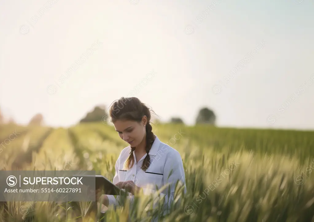 Agronomist with digital tablet examining wheat field