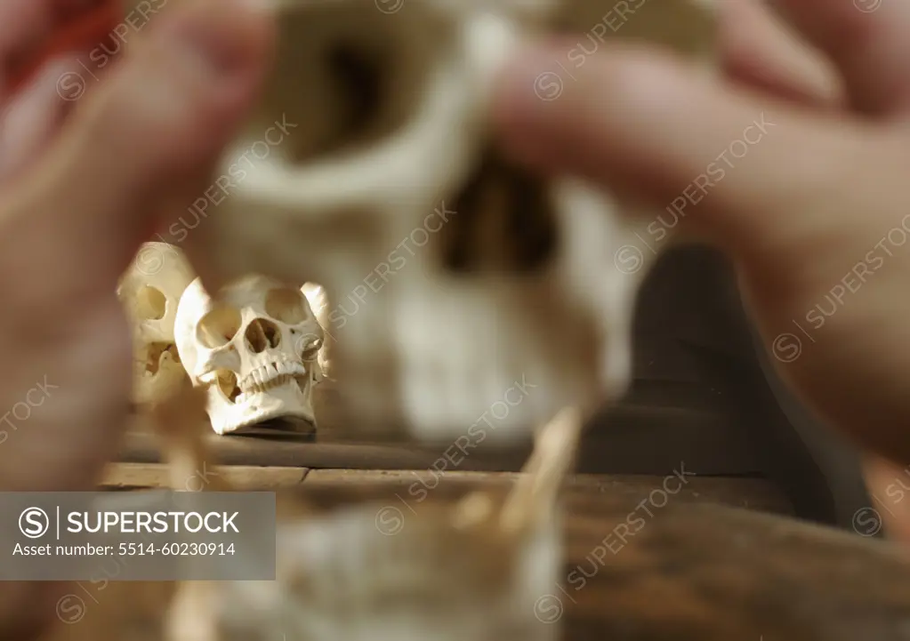 The blurred foreground of the hand of an archeology student examining a human skull with focused skulls behind it.