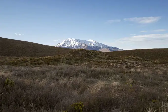 Snowed mountain and volcanic meadow under a blue sky, Tongariro