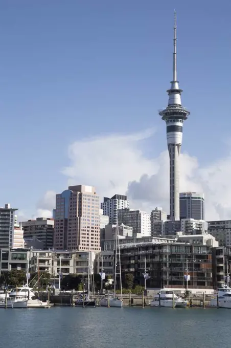 Sky tower and Auckland's skyline viewed from Marina during a sunny day