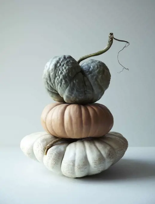 Stack of Pumpkin and Gourds