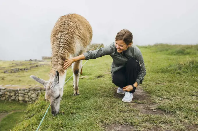 A young woman is sitting near a llama,  Machu Picchu, Peru