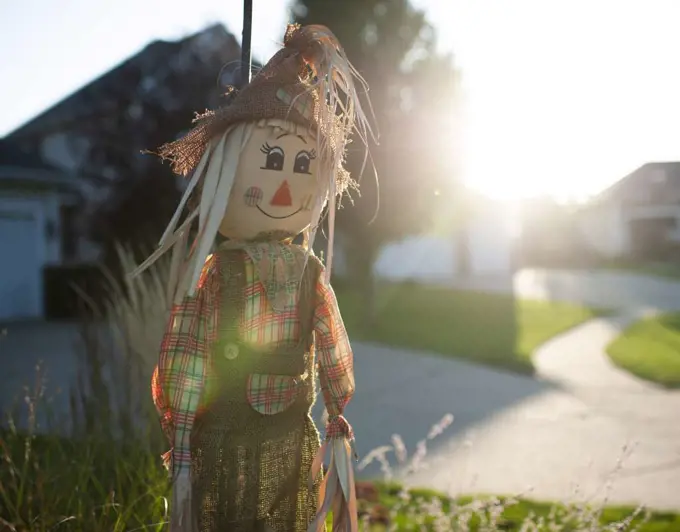 Scarecrow decor in autumn light outdoors