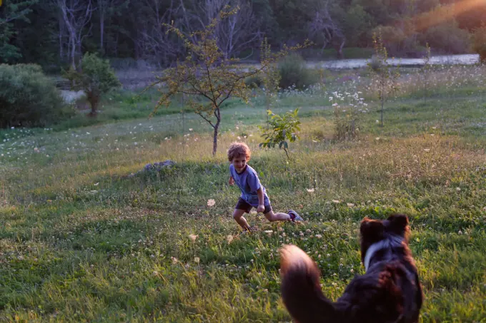 Little Boy Playing with a Dog in a Rural Setting