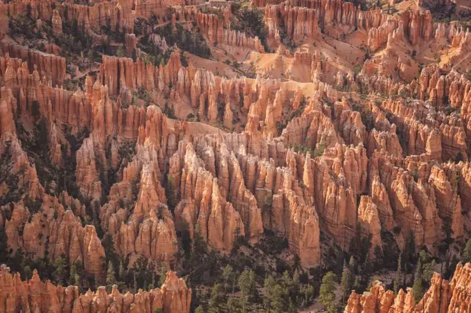 detail of Bryce Canyon from bryce point