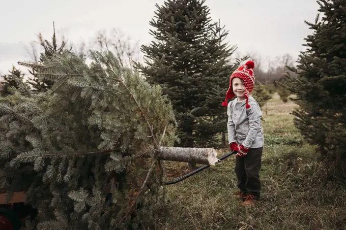 Boy pulling Christmas tree on wagon at tree farm