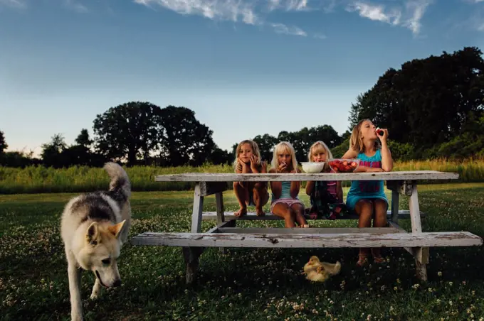 siblings eating fruit at picnic table on farm