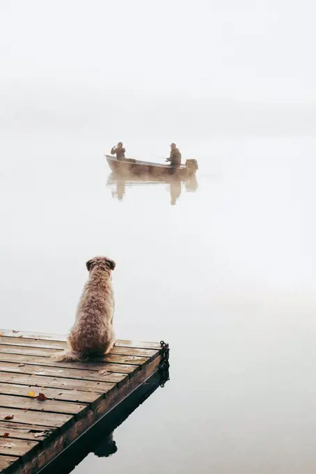 Two people in fishing boat in the fog with dog watching from the dock.