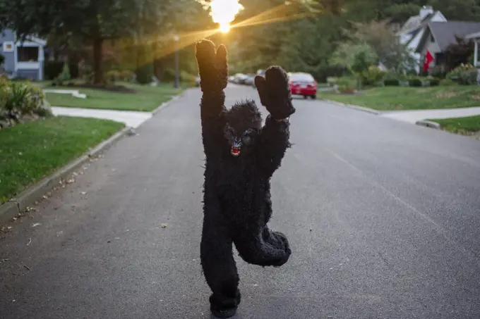 A child in a full gorilla suit runs with arms up on a street at sunset