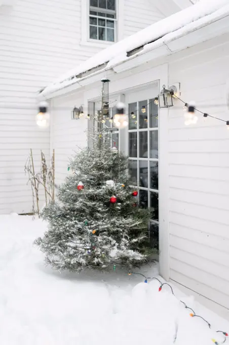 patio in the snow with lights and Christmas tree