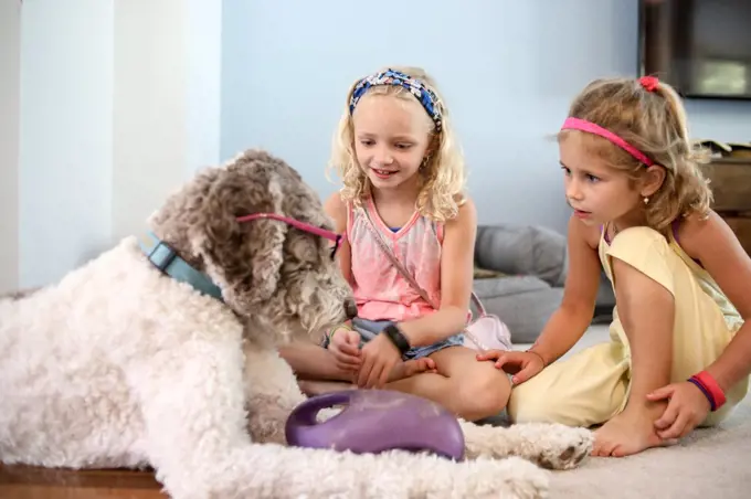 two girls playing with large brown and white dog on floor at home