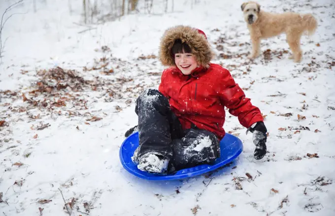 Happy boy sledding down a hill on snowy winter day while dog watches.