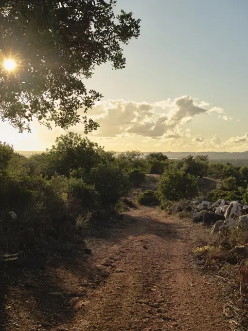 Country road in the Algarve in Portugal