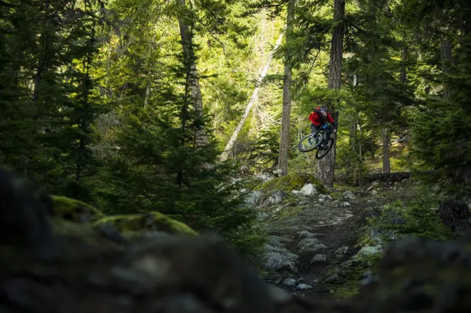 Mountain Biker jumping down mossy pnw trail in Washington