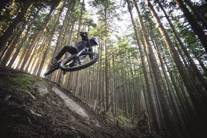 Mountain biker jumps down trails in north bend Washington